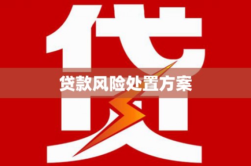 长滨贷款风险处置方案