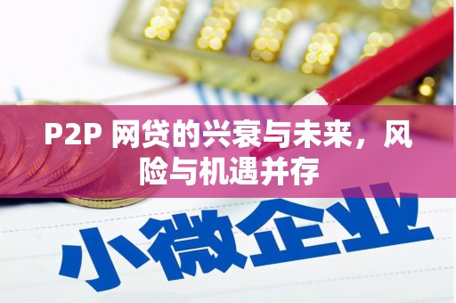 长滨P2P 网贷的兴衰与未来，风险与机遇并存