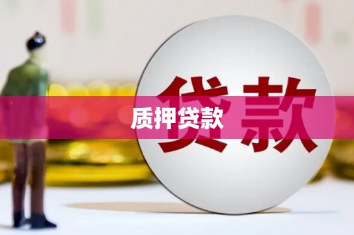 长滨质押贷款