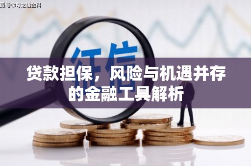 长滨贷款担保，风险与机遇并存的金融工具解析