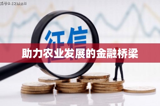 长滨助力农业发展的金融桥梁