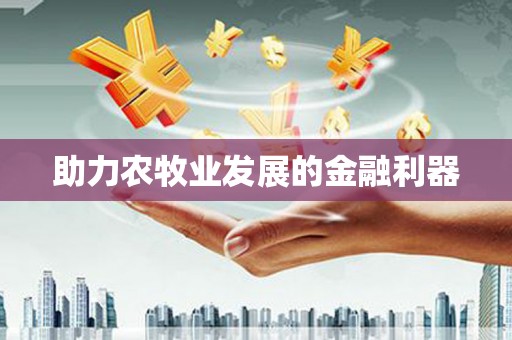长滨助力农牧业发展的金融利器