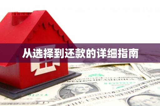 长滨从选择到还款的详细指南