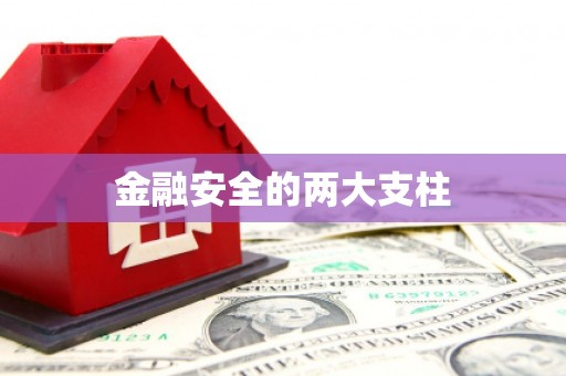 长滨金融安全的两大支柱