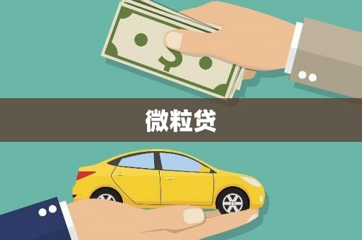 长滨微粒贷