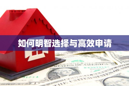 长滨如何明智选择与高效申请