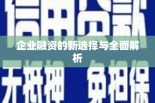 长滨企业融资的新选择与全面解析
