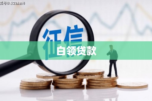 长滨白领贷款