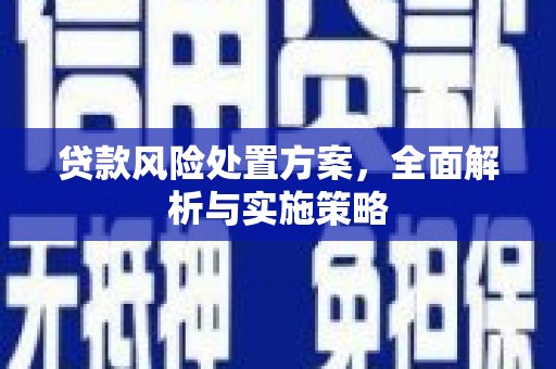 长滨贷款风险处置方案，全面解析与实施策略
