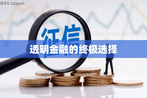长滨透明金融的终极选择