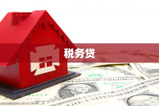 长滨税务贷
