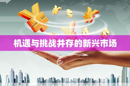 长滨机遇与挑战并存的新兴市场