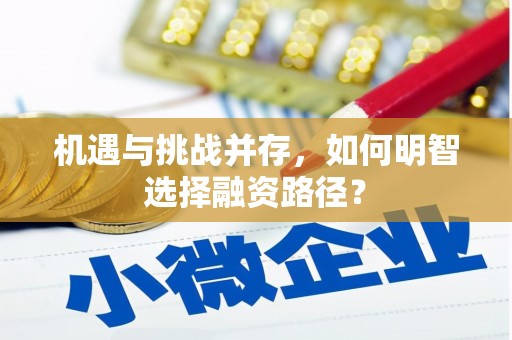 长滨机遇与挑战并存，如何明智选择融资路径？
