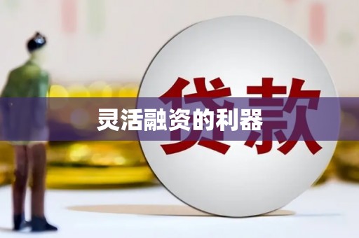 长滨灵活融资的利器