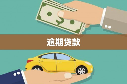 长滨逾期贷款