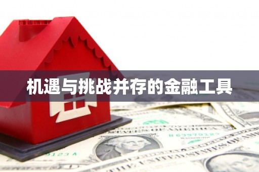 长滨机遇与挑战并存的金融工具