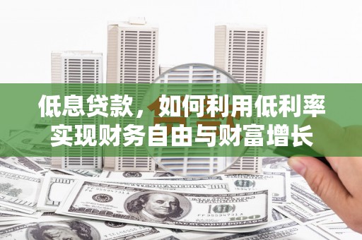 长滨低息贷款，如何利用低利率实现财务自由与财富增长